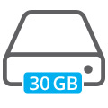 30gb hard disk